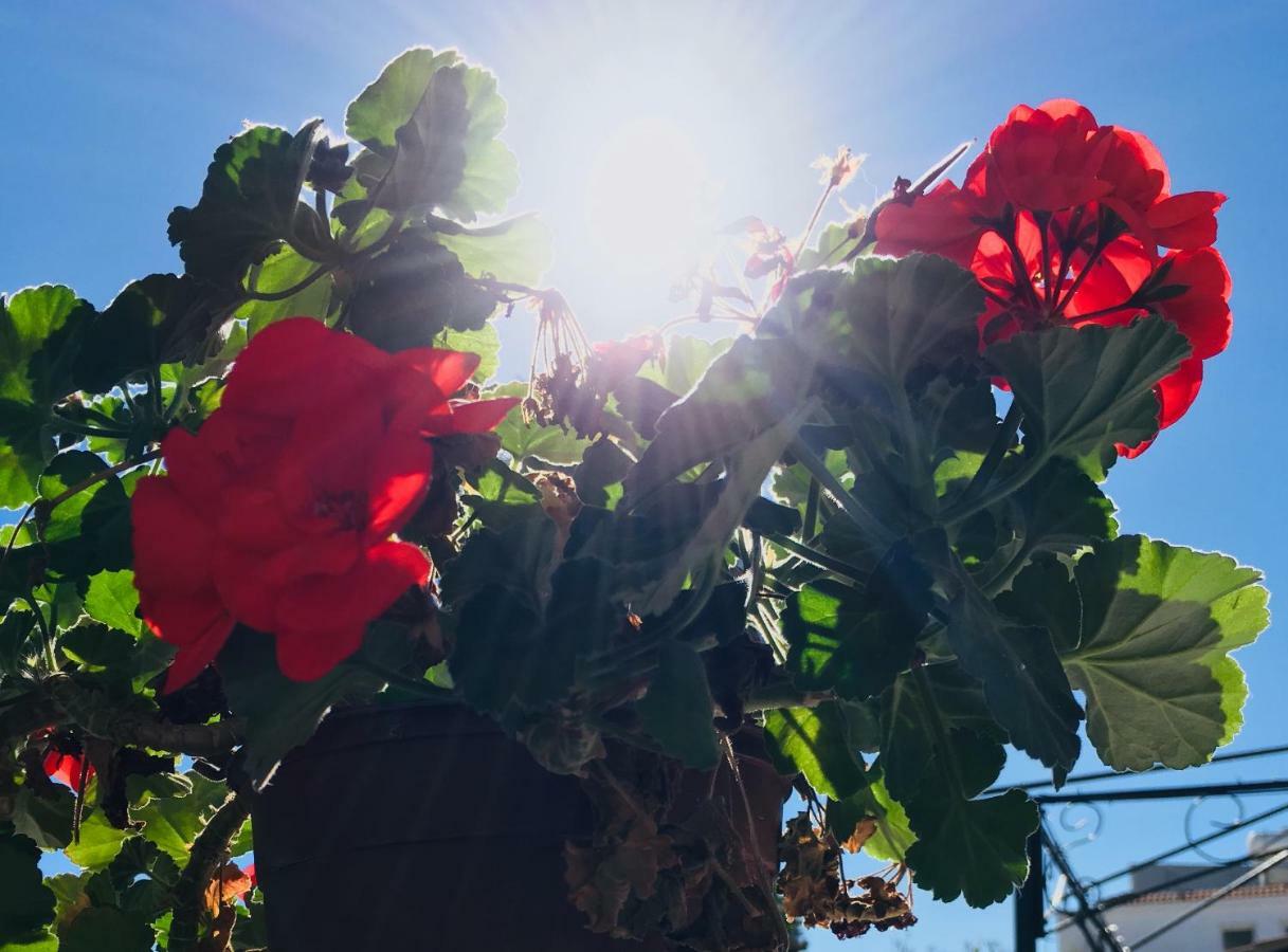 Appartamento Nissi Elena A11 Ayia Napa Esterno foto